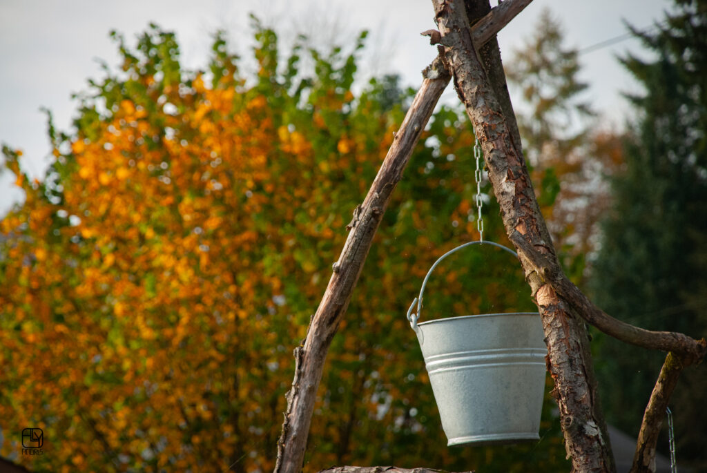 Promenade à Laneuville-au-bois. Et si, nous partagions la richesse et la beauté de ce village?