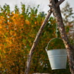 Promenade à Laneuville-au-bois. Et si, nous partagions la richesse et la beauté de ce village?