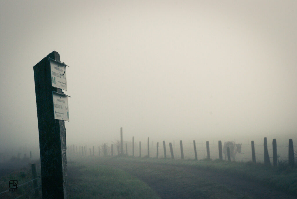 Mystère et Brouillard : Une Série de Photos à Tenneville, le Jour d’Halloween